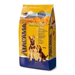 ATACAMA PUPPY ALL BREED