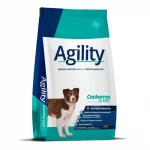 Agility Dog Cachorro All Breeds