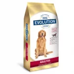 Dog Evolution Adulto