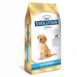 Dog Evolution Cachorro