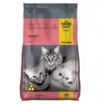 Three Cats Gato Adulto