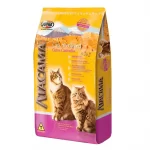Atacama Cats Sterilized