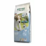 Bewi-Dog Puppy