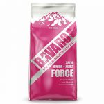 Bavaro Force