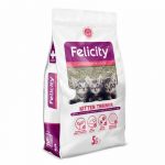 Felicity Kitten Trainer