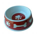 Plato Dibujo Dog M