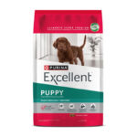 Excellent Cachorro Raza Mediana y Grande