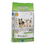 Mastin Adulto Raza Pequeña