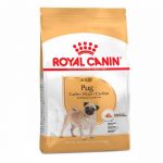 Royal Canin Pug Adulto