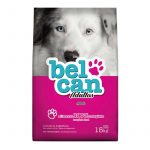 Belcan Perro Adulto
