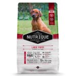 Nutrique Large Puppy