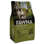 Fawna Gatos Kitten