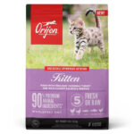 Orijen Kitten