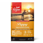 Orijen Puppy Dog