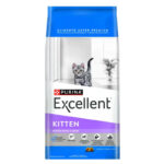 Excellent Gato Kitten