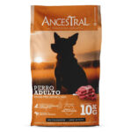 Ancestral Perro Adulto Razas Pequeñas