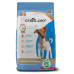 Gerolamo Perro Cachorro Razas Pequeñas y Mini