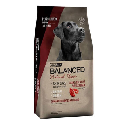 Vitalcan Balanced Natural Recipe Carne Argentina