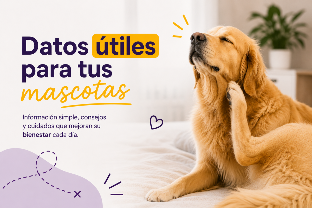 5 Señales de Alergia en la Piel de tu Mascota que No Debes Ignorar