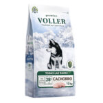 Voller Cachorro