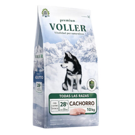 Voller Cachorro