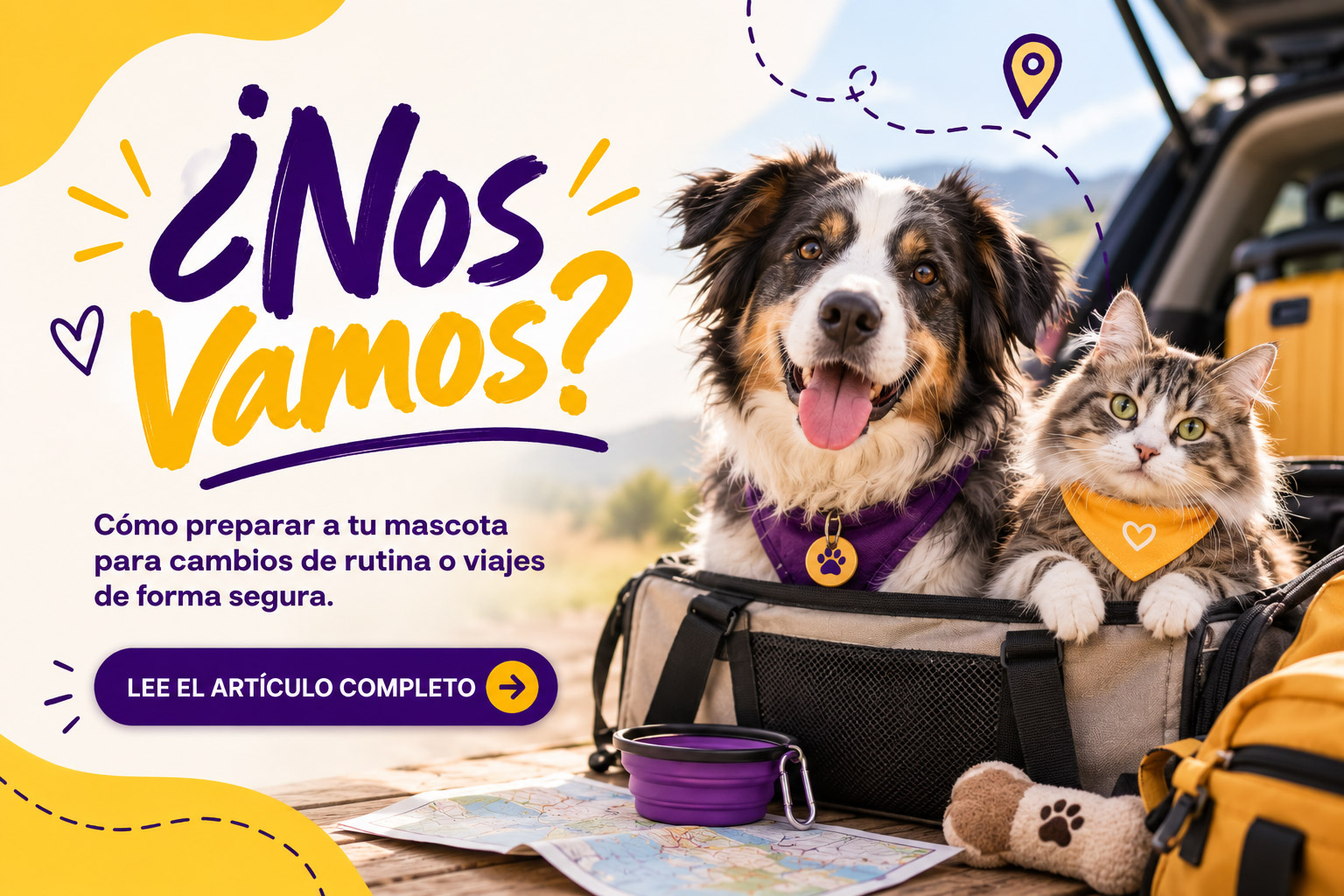 BLOG SOY PET